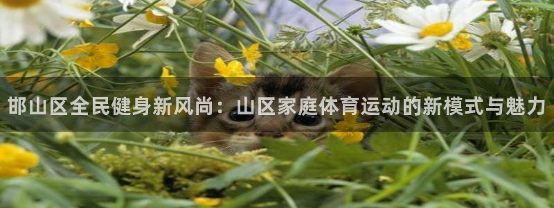 J9官网下载招商电话:邯山区全民健身新风尚:山区家庭体育运动