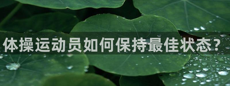 J9官方正版app娱乐代理怎么样:体操运动员如何保持最佳状态