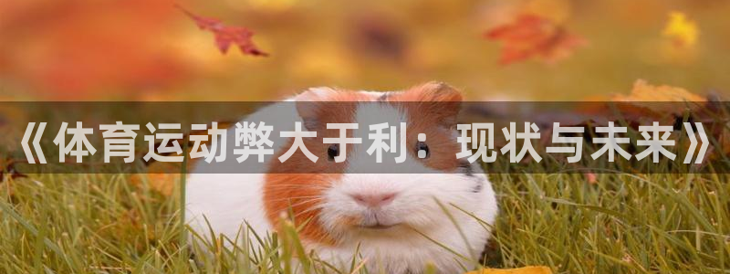 J9官方正版app集团官网首页网址:《体育运动弊大于利:现状